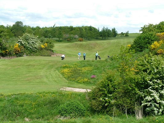 Views of the Eleventh